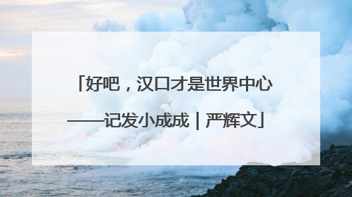 好吧，汉口才是世界中心——记发小成成｜严辉文