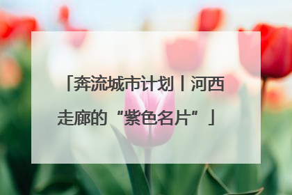 奔流城市计划丨河西走廊的“紫色名片”