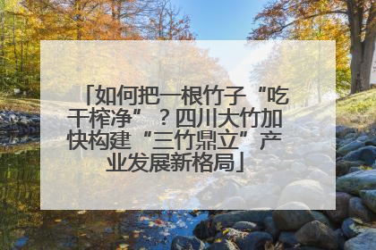 如何把一根竹子“吃干榨净”？四川大竹加快构建“三竹鼎立”产业发展新格局