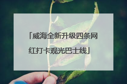威海全新升级四条网红打卡观光巴士线
