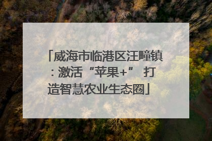 威海市临港区汪疃镇：激活“苹果+” 打造智慧农业生态圈