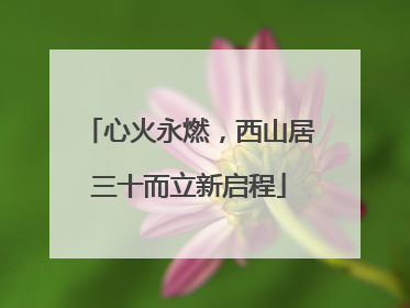 心火永燃，西山居三十而立新启程