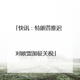 快讯：特朗普推迟对欧盟加征关税