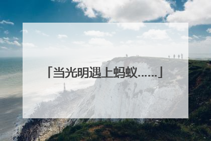 当光明遇上蚂蚁……