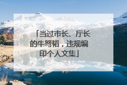 当过市长、厅长的牛弩韬，违规编印个人文集