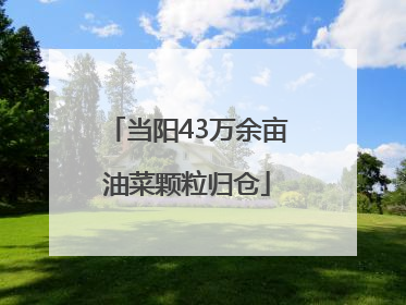 当阳43万余亩油菜颗粒归仓