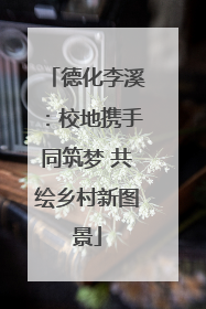 德化李溪：校地携手同筑梦 共绘乡村新图景