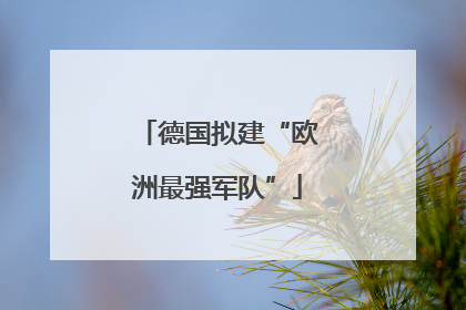 德国拟建“欧洲最强军队”