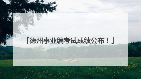 德州事业编考试成绩公布！