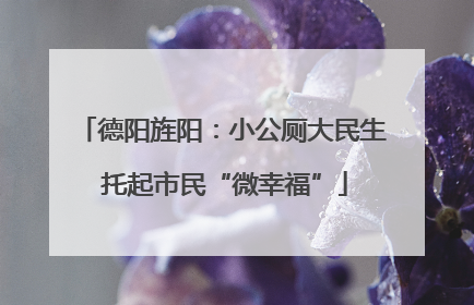 德阳旌阳：小公厕大民生 托起市民“微幸福”