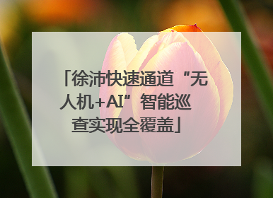 徐沛快速通道“无人机+AI”智能巡查实现全覆盖