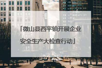 微山县西平镇开展企业安全生产大检查行动