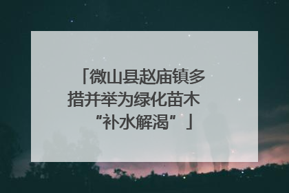 微山县赵庙镇多措并举为绿化苗木“补水解渴”