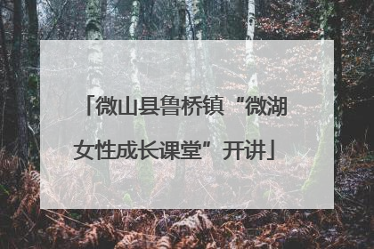 微山县鲁桥镇“微湖女性成长课堂”开讲