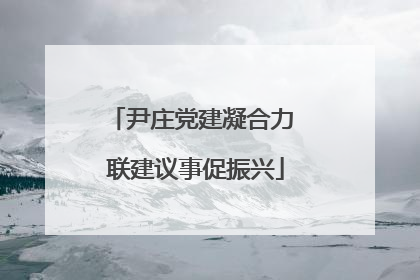 尹庄党建凝合力 联建议事促振兴