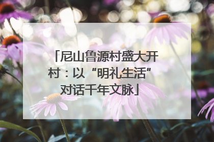 尼山鲁源村盛大开村：以“明礼生活”对话千年文脉
