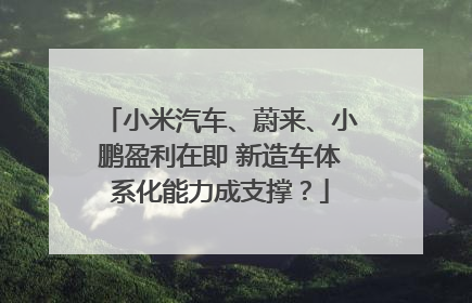 小米汽车、蔚来、小鹏盈利在即 新造车体系化能力成支撑？