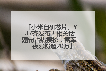 小米自研芯片、YU7齐发布！相关话题霸占热搜榜，雷军一夜涨粉超20万