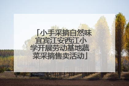 小手采摘自然味 宜宾江安西江小学开展劳动基地蔬菜采摘售卖活动