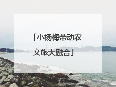 小杨梅带动农文旅大融合