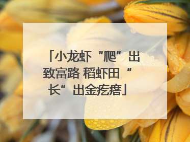 小龙虾“爬”出致富路 稻虾田“长”出金疙瘩