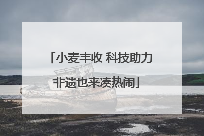 小麦丰收 科技助力 非遗也来凑热闹