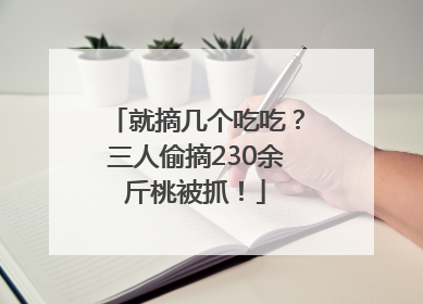 就摘几个吃吃？三人偷摘230余斤桃被抓！