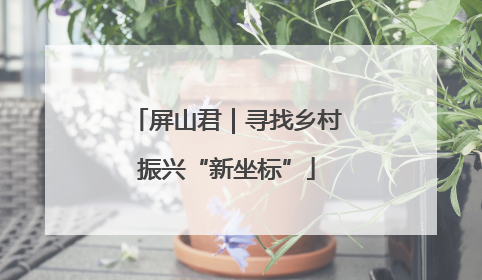 屏山君｜寻找乡村振兴“新坐标”