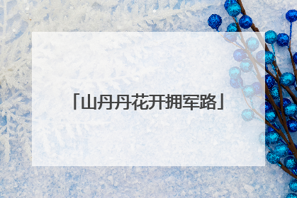 山丹丹花开拥军路
