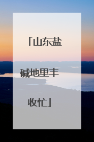 山东盐碱地里丰收忙
