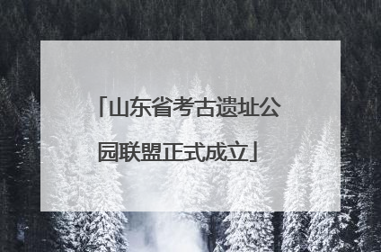 山东省考古遗址公园联盟正式成立