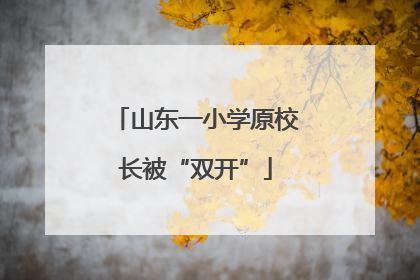 山东一小学原校长被“双开”