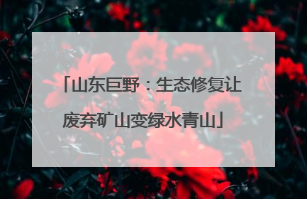 山东巨野：生态修复让废弃矿山变绿水青山