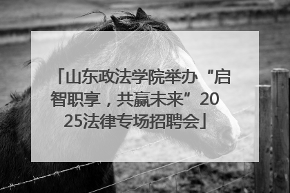 山东政法学院举办“启智职享，共赢未来”2025法律专场招聘会