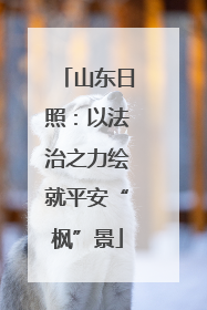 山东日照：以法治之力绘就平安“枫”景