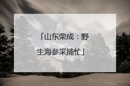 山东荣成：野生海参采捕忙