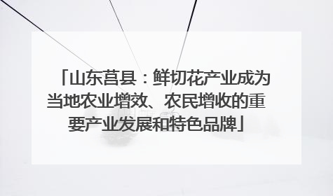 山东莒县：鲜切花产业成为当地农业增效、农民增收的重要产业发展和特色品牌