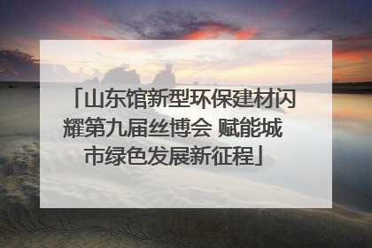 山东馆新型环保建材闪耀第九届丝博会 赋能城市绿色发展新征程