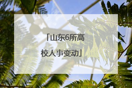山东6所高校人事变动