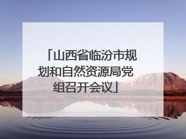 山西省临汾市规划和自然资源局党组召开会议