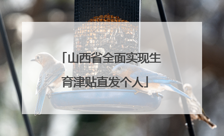 山西省全面实现生育津贴直发个人
