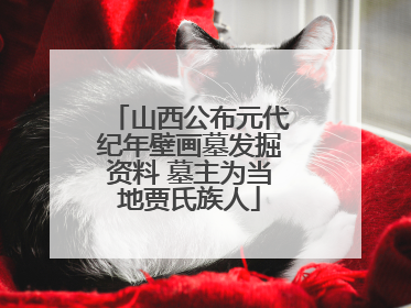 山西公布元代纪年壁画墓发掘资料 墓主为当地贾氏族人