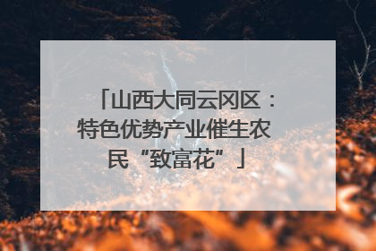 山西大同云冈区：特色优势产业催生农民“致富花”