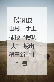 崇阳县三山村：手工插秧“慢功夫” 绣出稻田新“丰”景