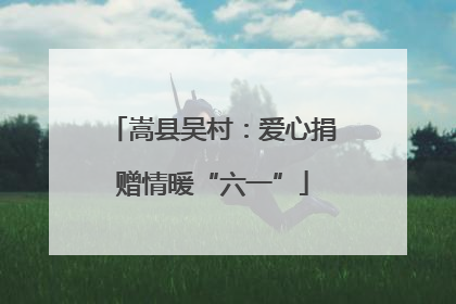 嵩县吴村：爱心捐赠情暖“六一”
