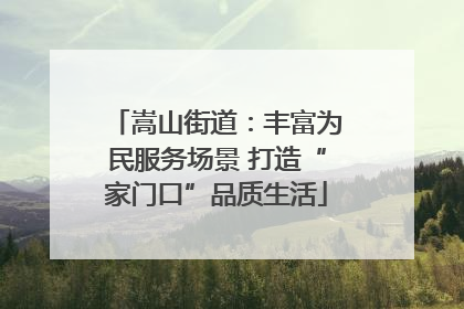 嵩山街道：丰富为民服务场景 打造“家门口”品质生活