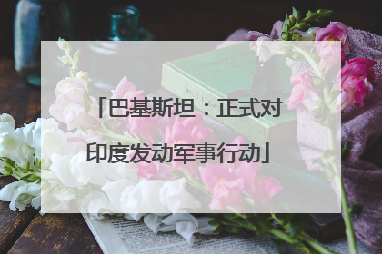 巴基斯坦：正式对印度发动军事行动