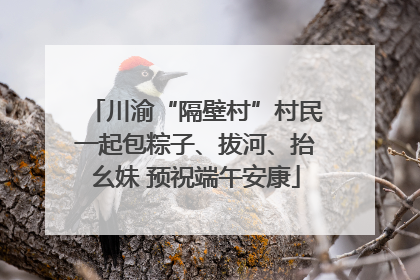川渝“隔壁村”村民一起包粽子、拔河、抬幺妹 预祝端午安康