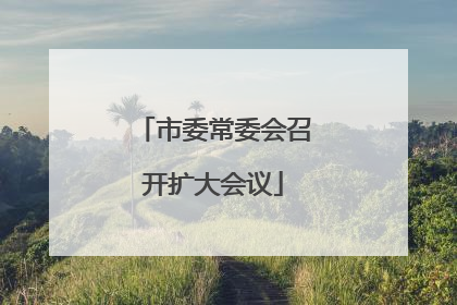 市委常委会召开扩大会议