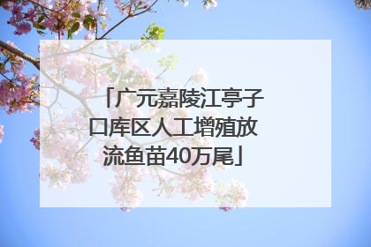 广元嘉陵江亭子口库区人工增殖放流鱼苗40万尾